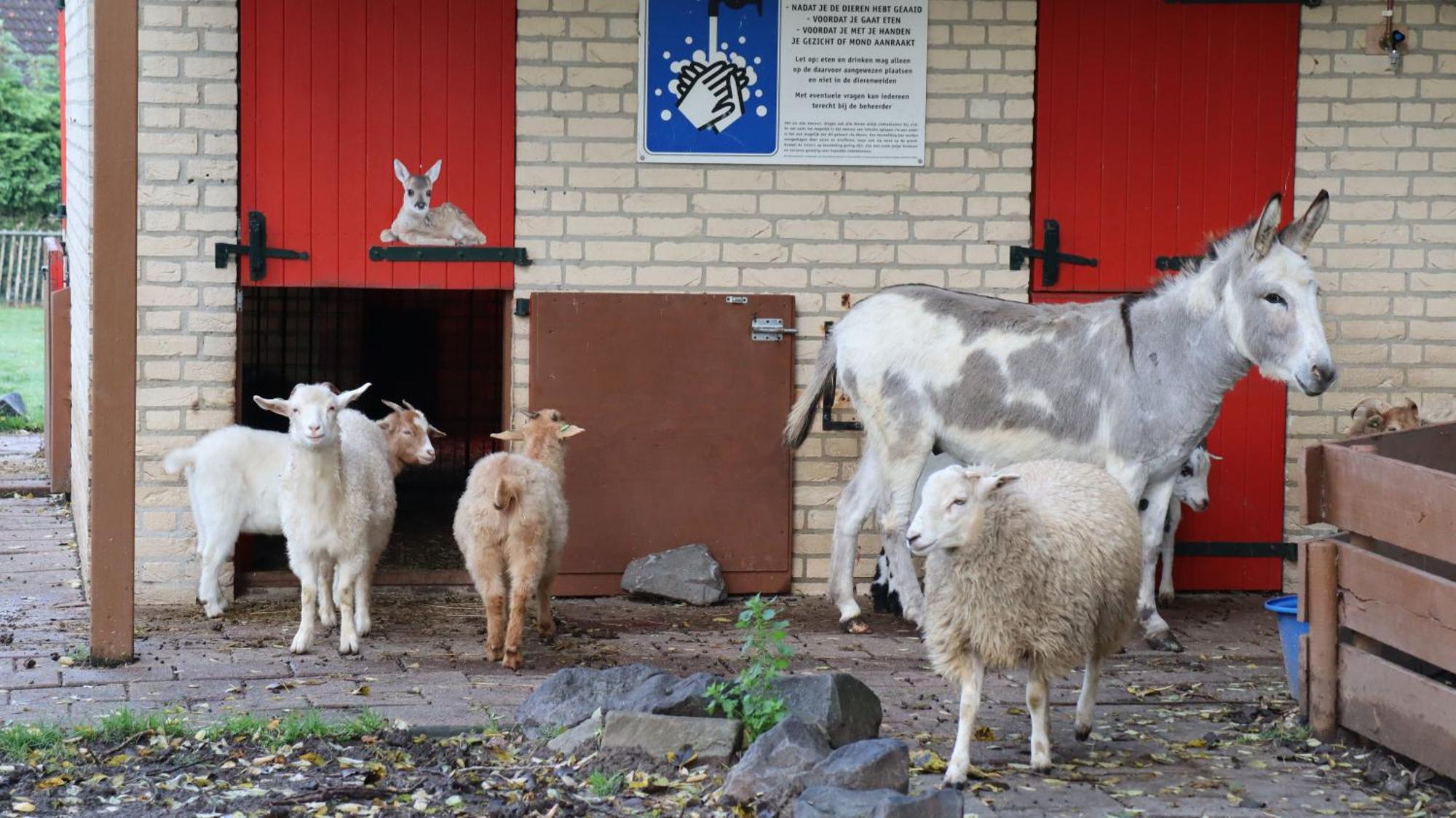 Het Huys Ewijk Mooi Luxe En Een Laadpaal Exterior photo