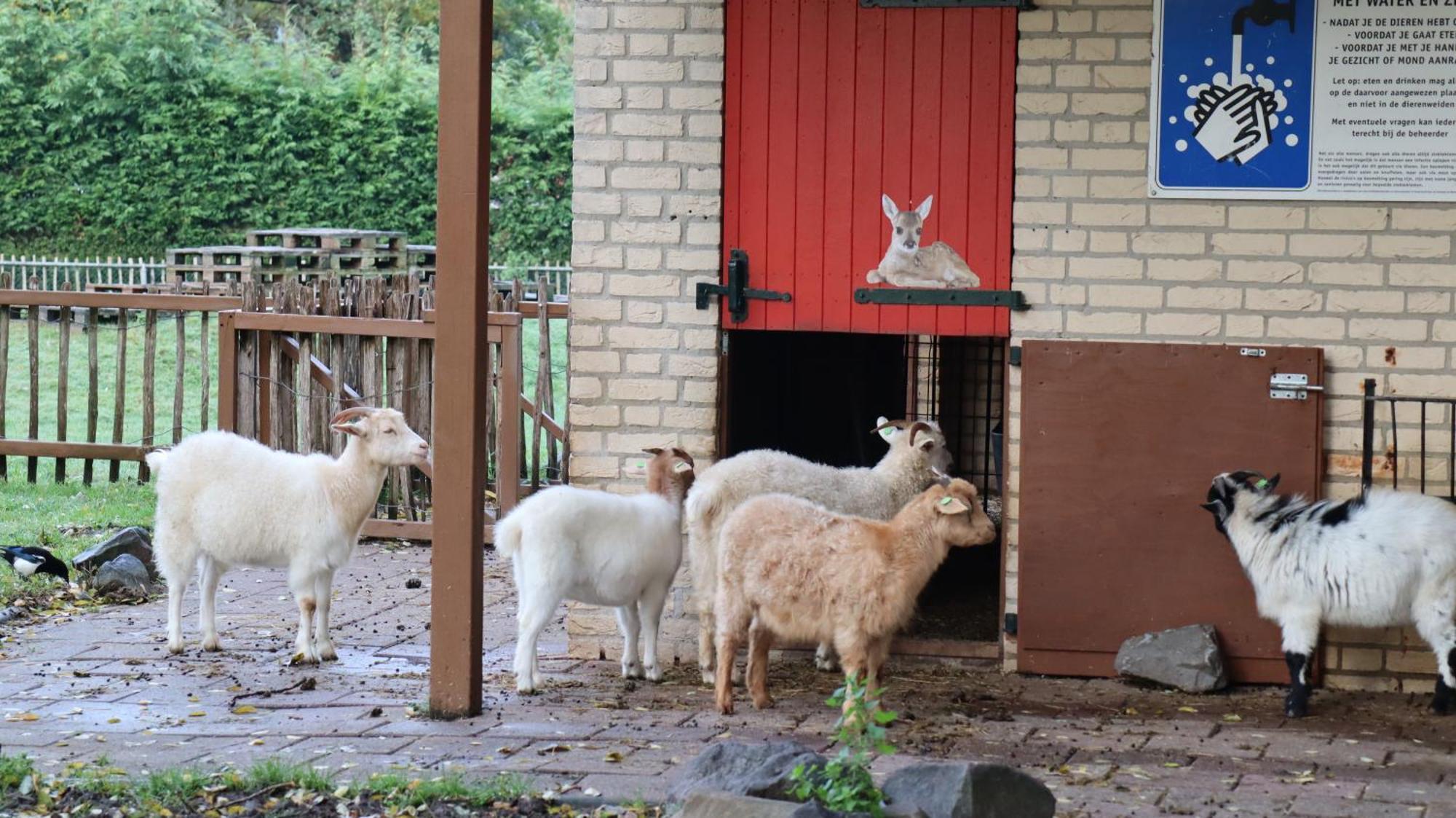 Het Huys Ewijk Mooi Luxe En Een Laadpaal Exterior photo