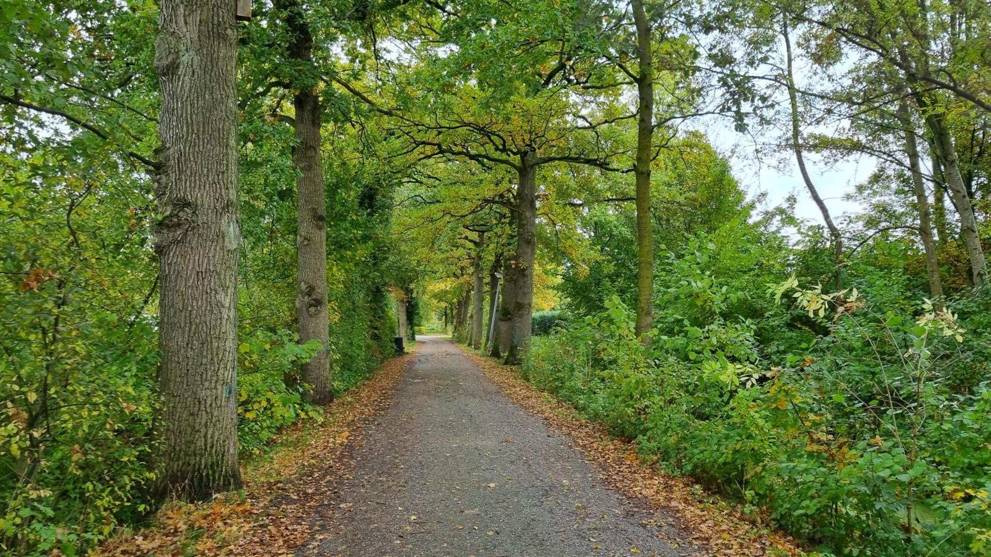 Het Huys Ewijk Mooi Luxe En Een Laadpaal Exterior photo